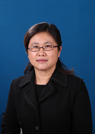 卜新华