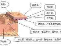 开展各类皮肤病与性病诊疗项目：
