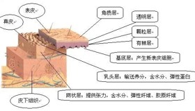 开展各类皮肤病与性病诊疗项目：
