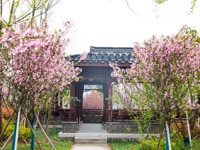 一年之计在于春，春季养生正当时 —— 中医科  方令