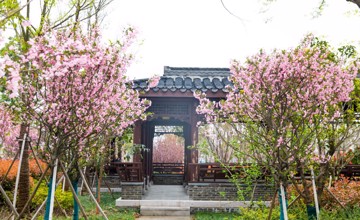 一年之计在于春，春季养生正当时 —— 中医科  方令