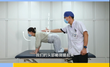 康复科 | 下腰痛的居家康复