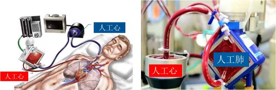 a792a241d2624e0297b6694fd136c2b2.png