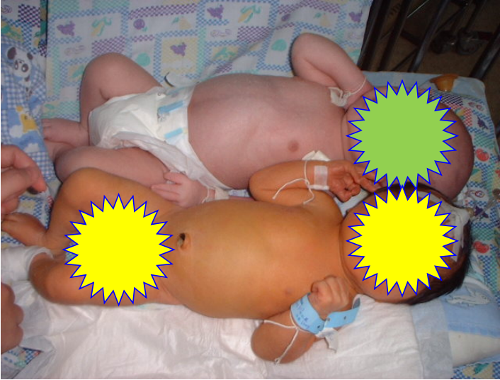 73a448d7c0f1433bb75ecc68241c548f.png