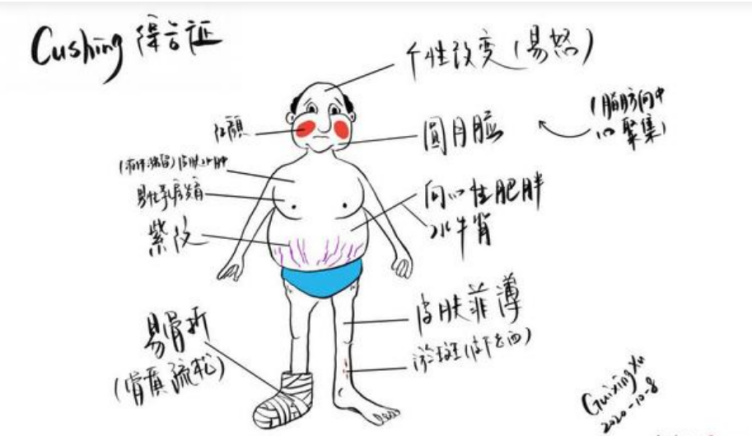 6a52623cefea47b190c3018765818326.png