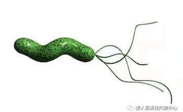 消化科 | 幽门螺杆菌，你想知道的那些事儿