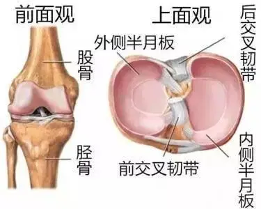 753ed58d25ae41268fa47d2276a6773c.png