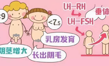 儿科 | 性早熟科普