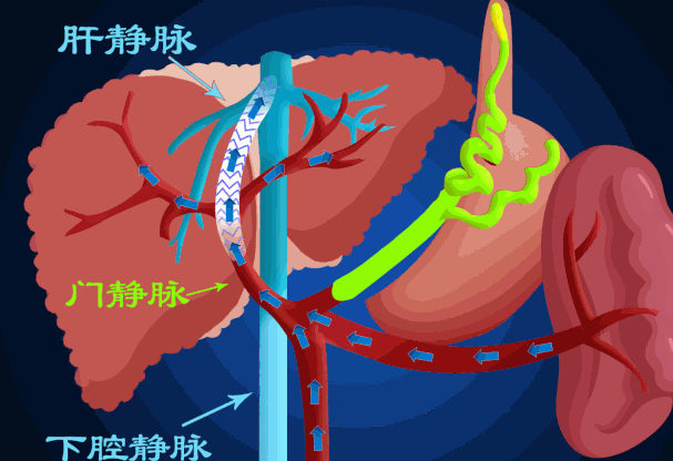 添加图片描述 添加图片描述