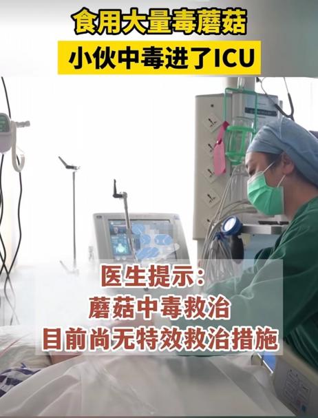 微信图片_20230811145849