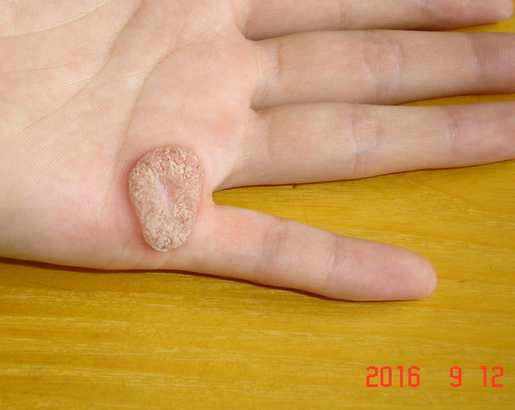 DSC09471
