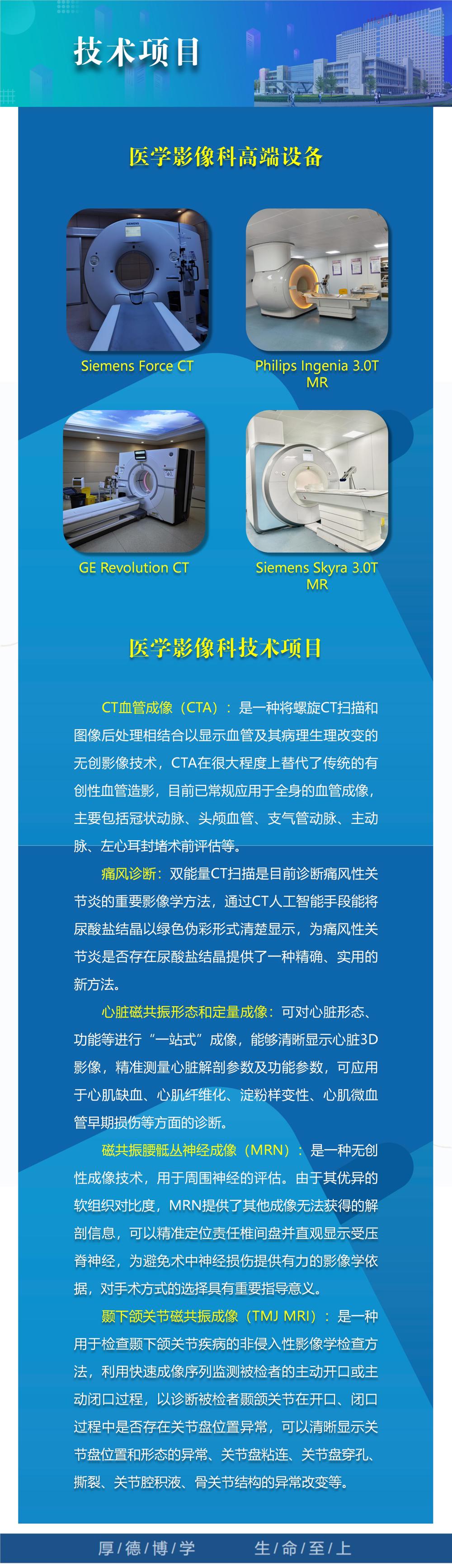 15.技术项目