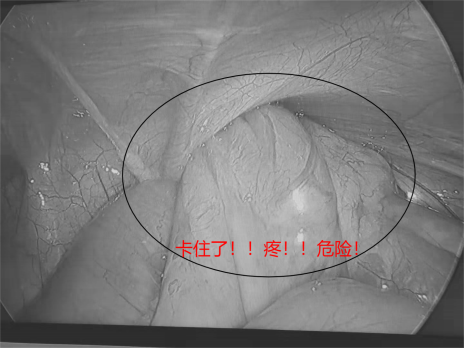 WPS图片编辑4444444444