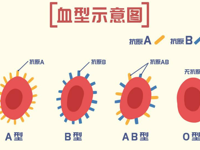 一个人同时有两种血型，原因你绝对想不到！