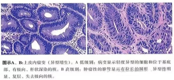 4057005a51d902a5cb4a3c23b7a33f6