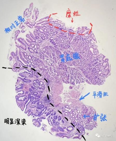 2021904db3fa48419e9ace04ccaf2899.jpg