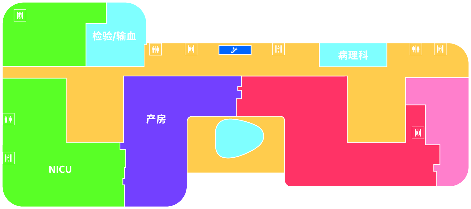妇幼四楼平面图